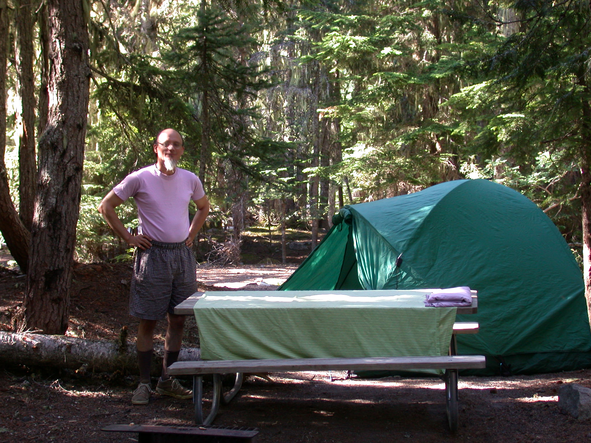 Mugwort at White River Campsite on Mount Rainier