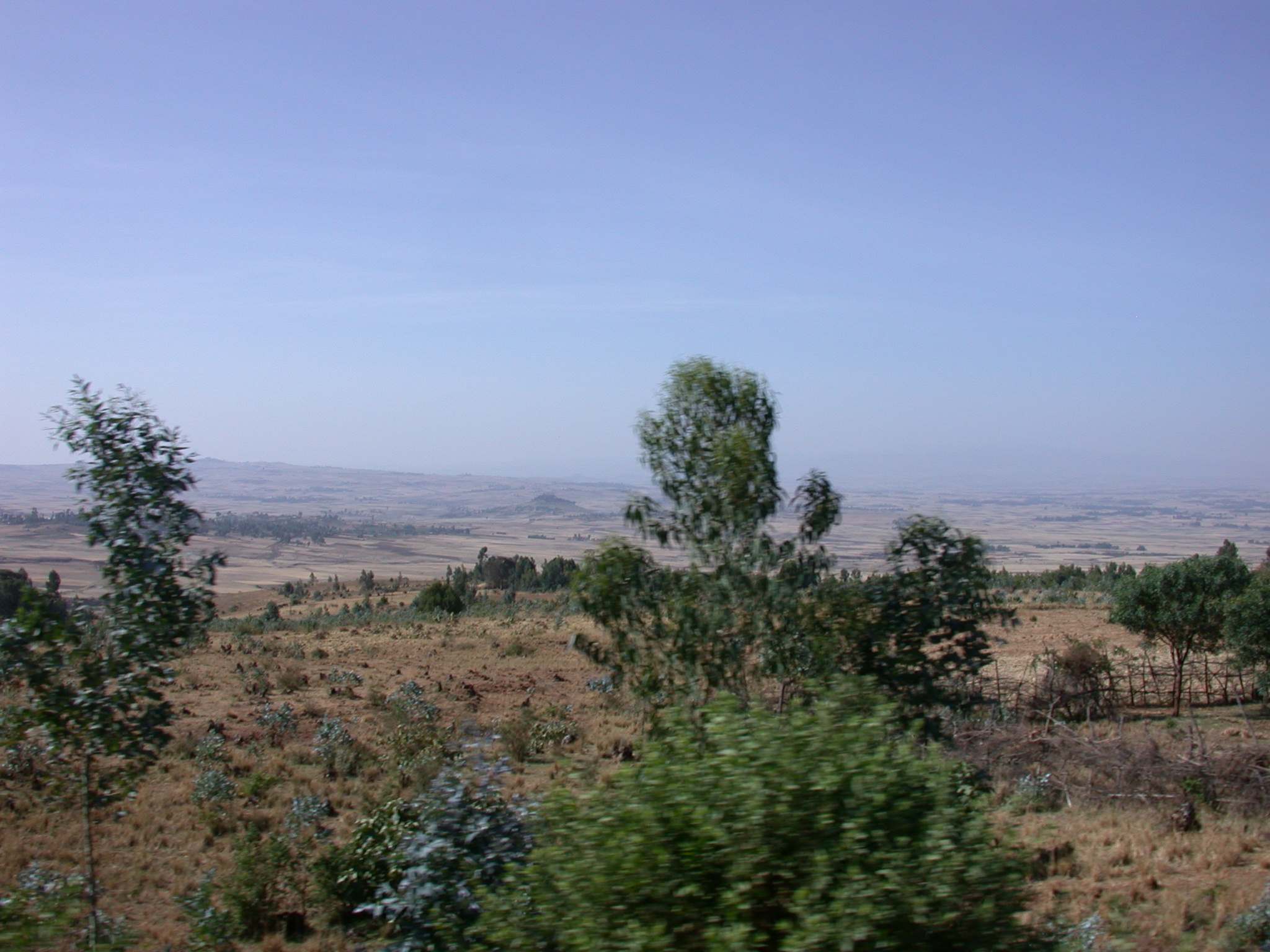 Semi-Desert Between Addis Ababa and Melka Kunture, Ethiopia