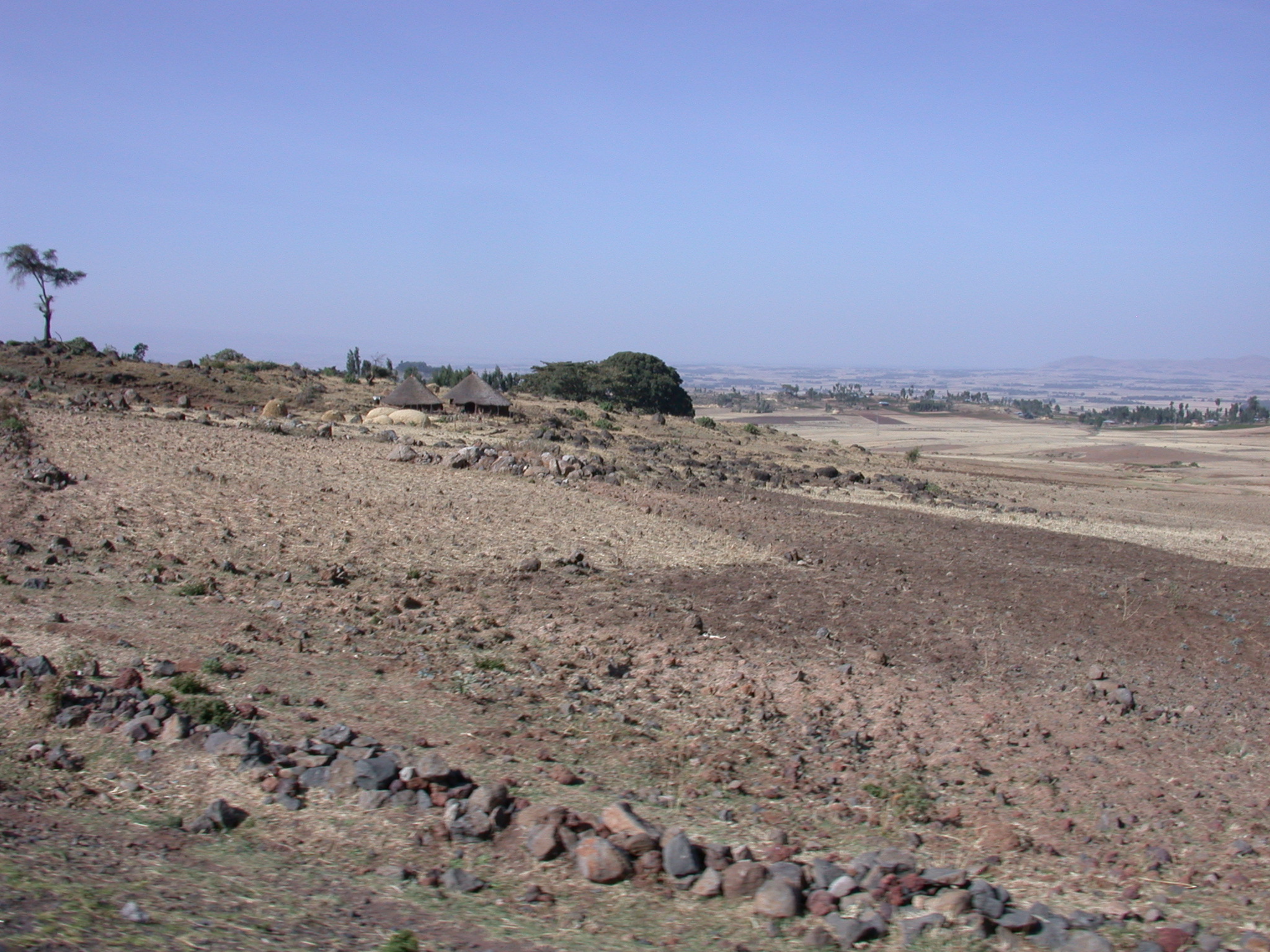 Desert Between Addis Ababa and Melka Kunture, Ethiopia