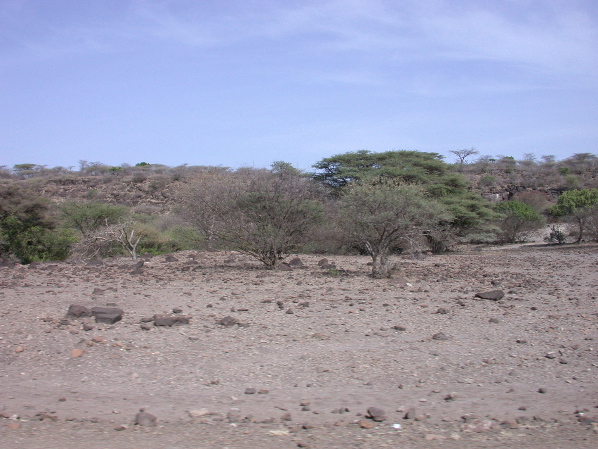 Landscape on Road Into Bilen Lodge, Awash Region, Ethiopia