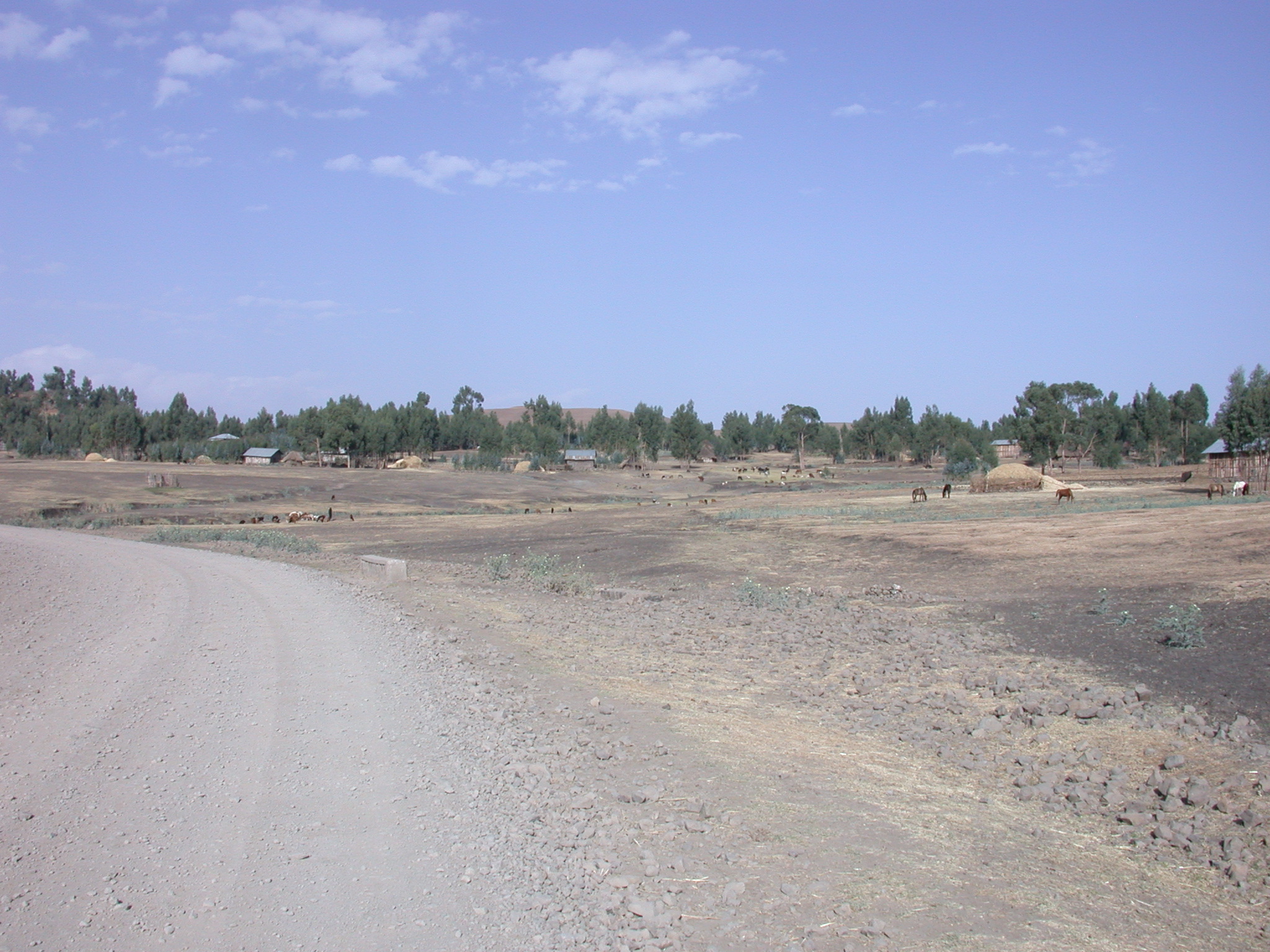 Village at Site of Bus Breakdown, Route From Gonder to Debark, Ethiopia