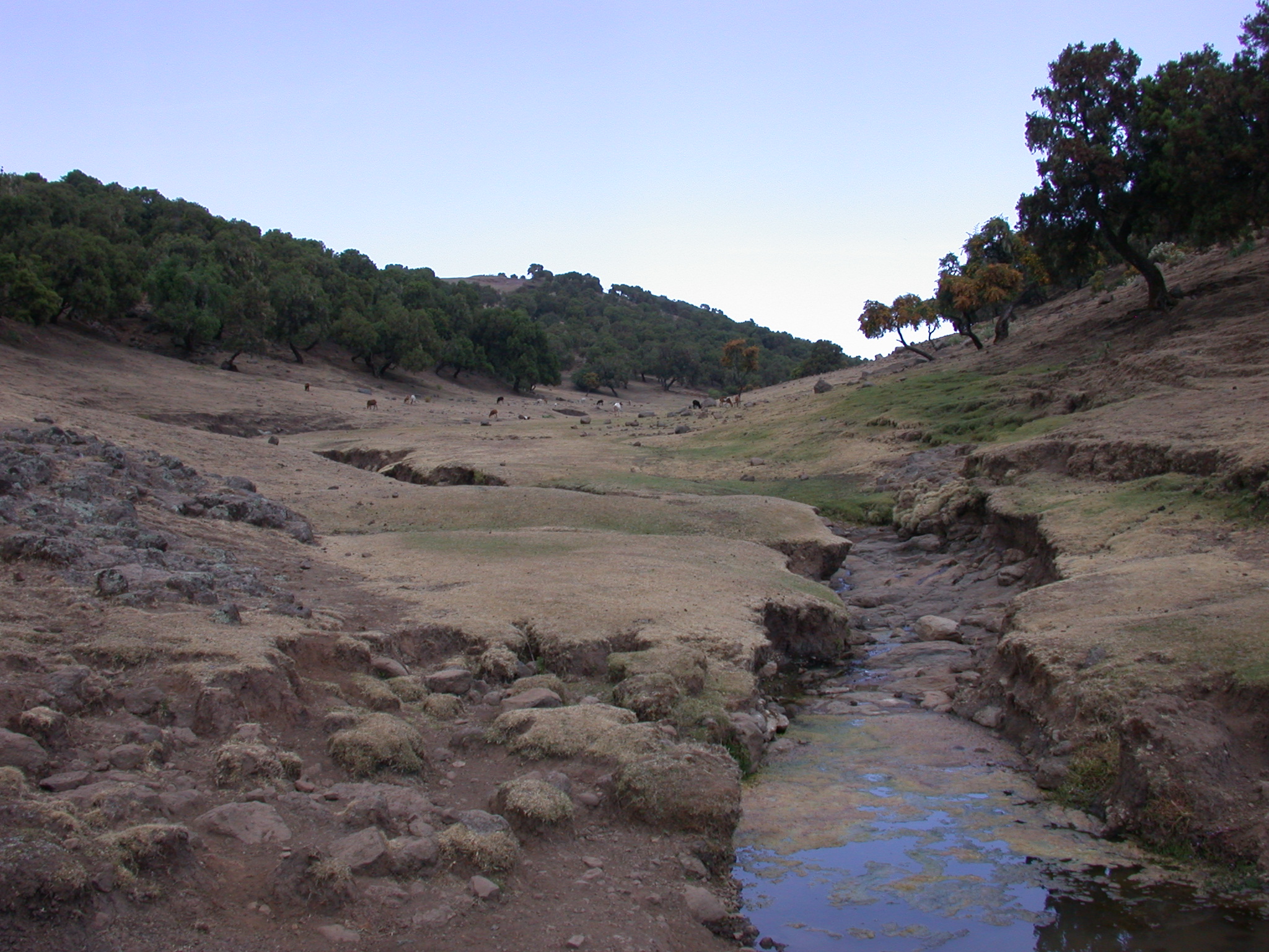 Landscape on Trek from Debark to Sankaber, Simien Mountains, Ethiopia