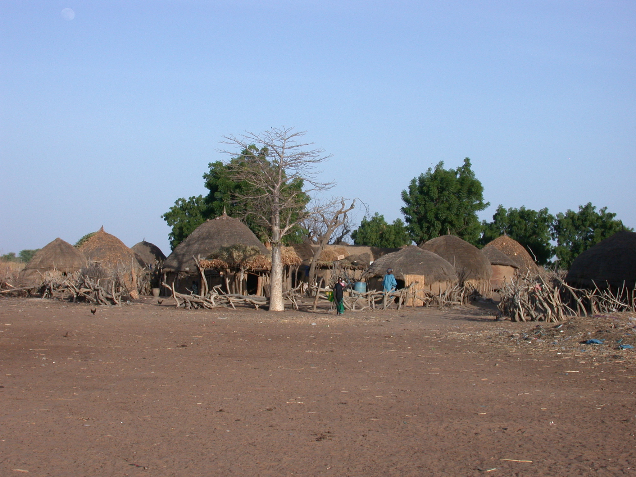Dwellings Between Nara and Sokolo, Mali