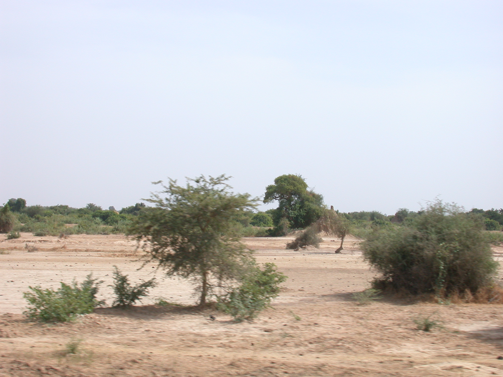 Landscape on Road From Nioro to Massina, Mali