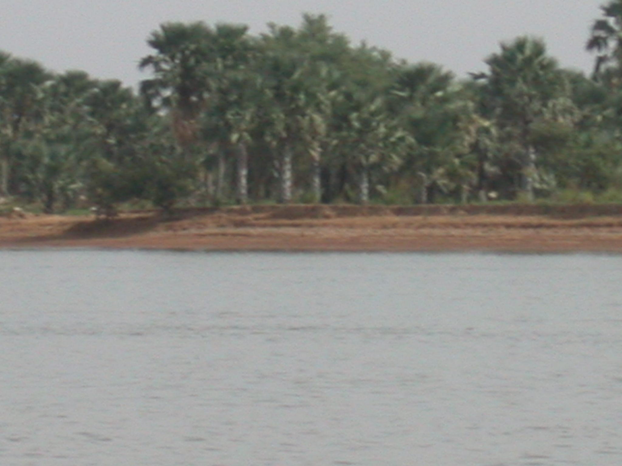 View of Niger Riger From Pinasse Boat at Massina, Mali