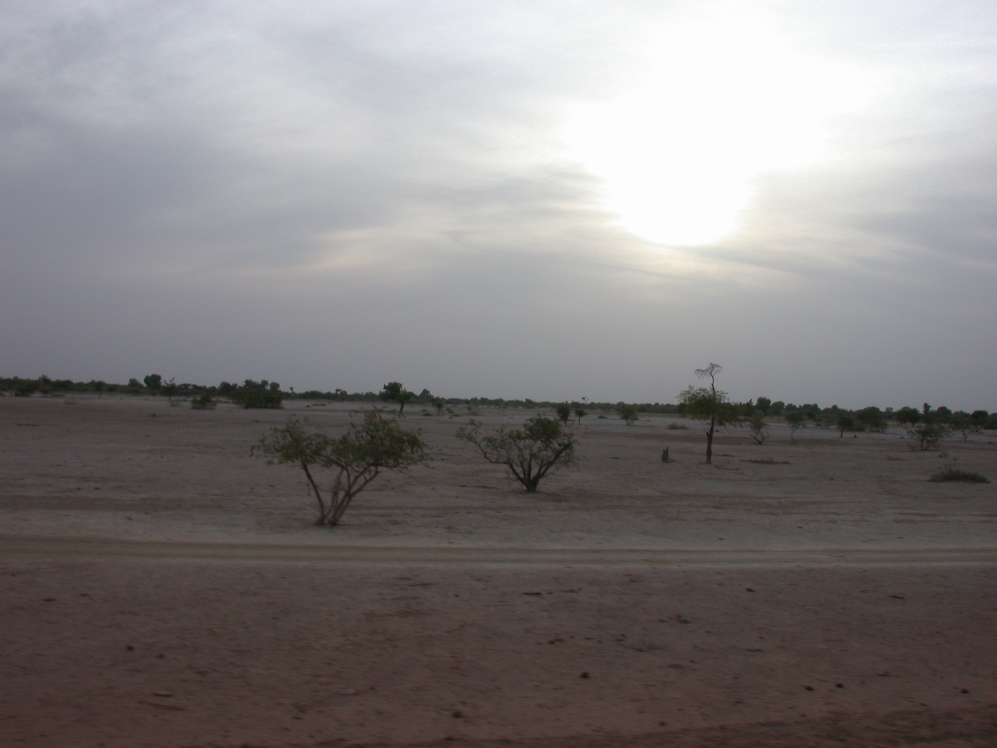 Landscape on Road From Massina to Say, Mali