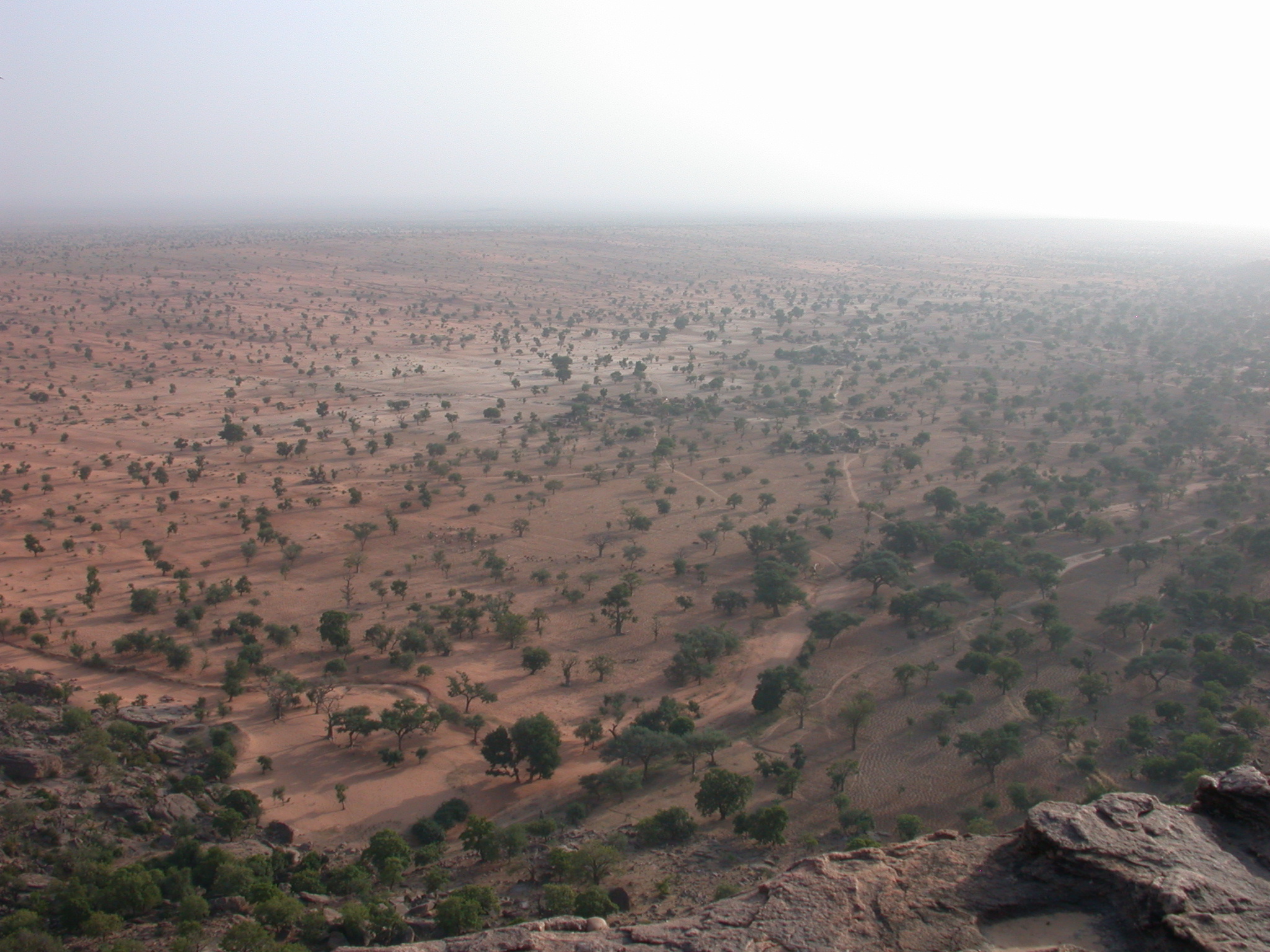 View From Summit of Falaise Escarpment Near Begnetmoto Village, Dogon Country, Mali