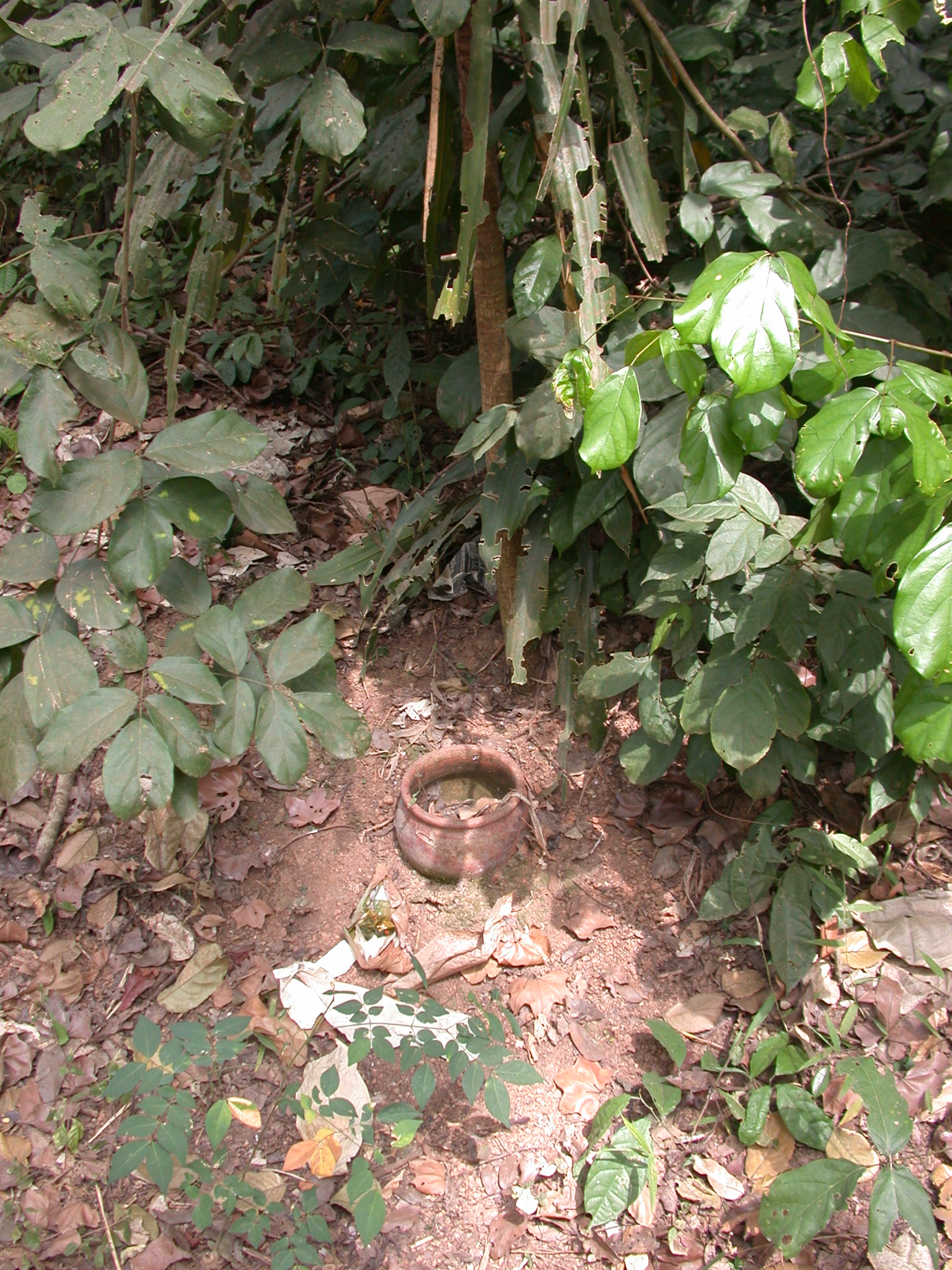 Ceramic Pot, Probably Altar, Osun Sacred Grove, Oshogbo, Nigeria