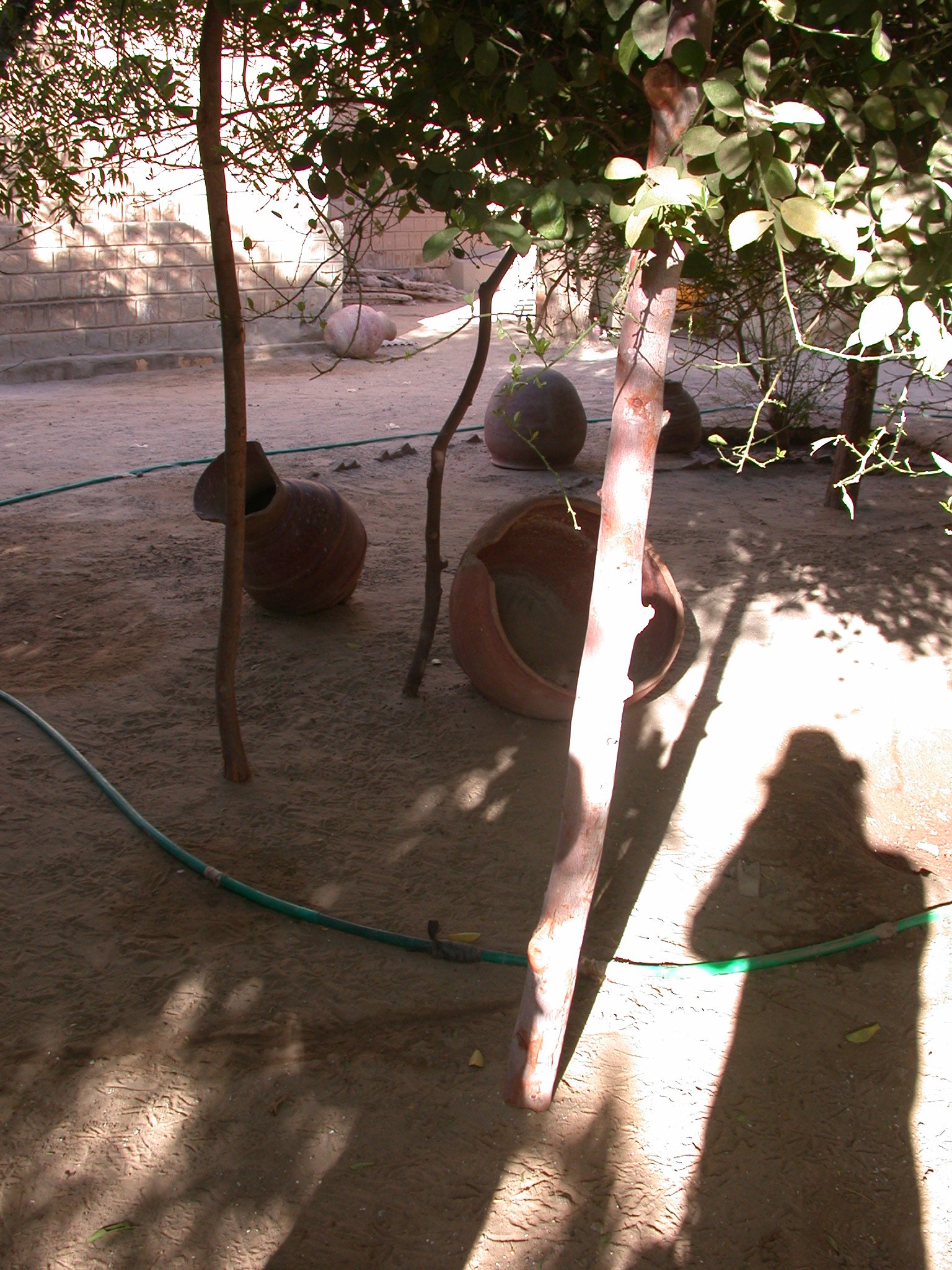 Garden at Reputed Site of Well of Boctou Whence Timbuktu Got Its Name, Timbuktu, Mali