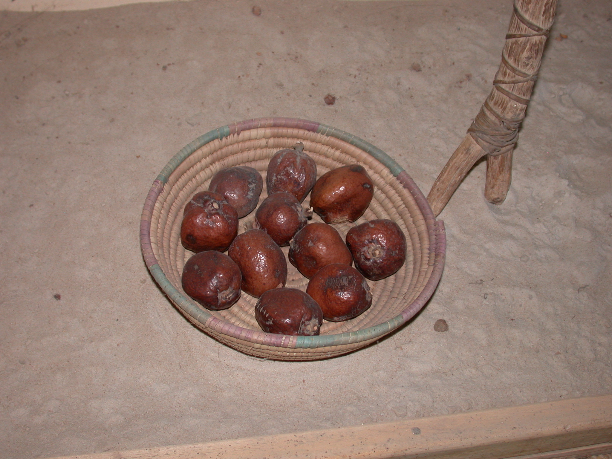 Doum or Fakoye Tanin or Gum Arabic, Timbuktu Ethnological Museum, Timbuktu, Mali