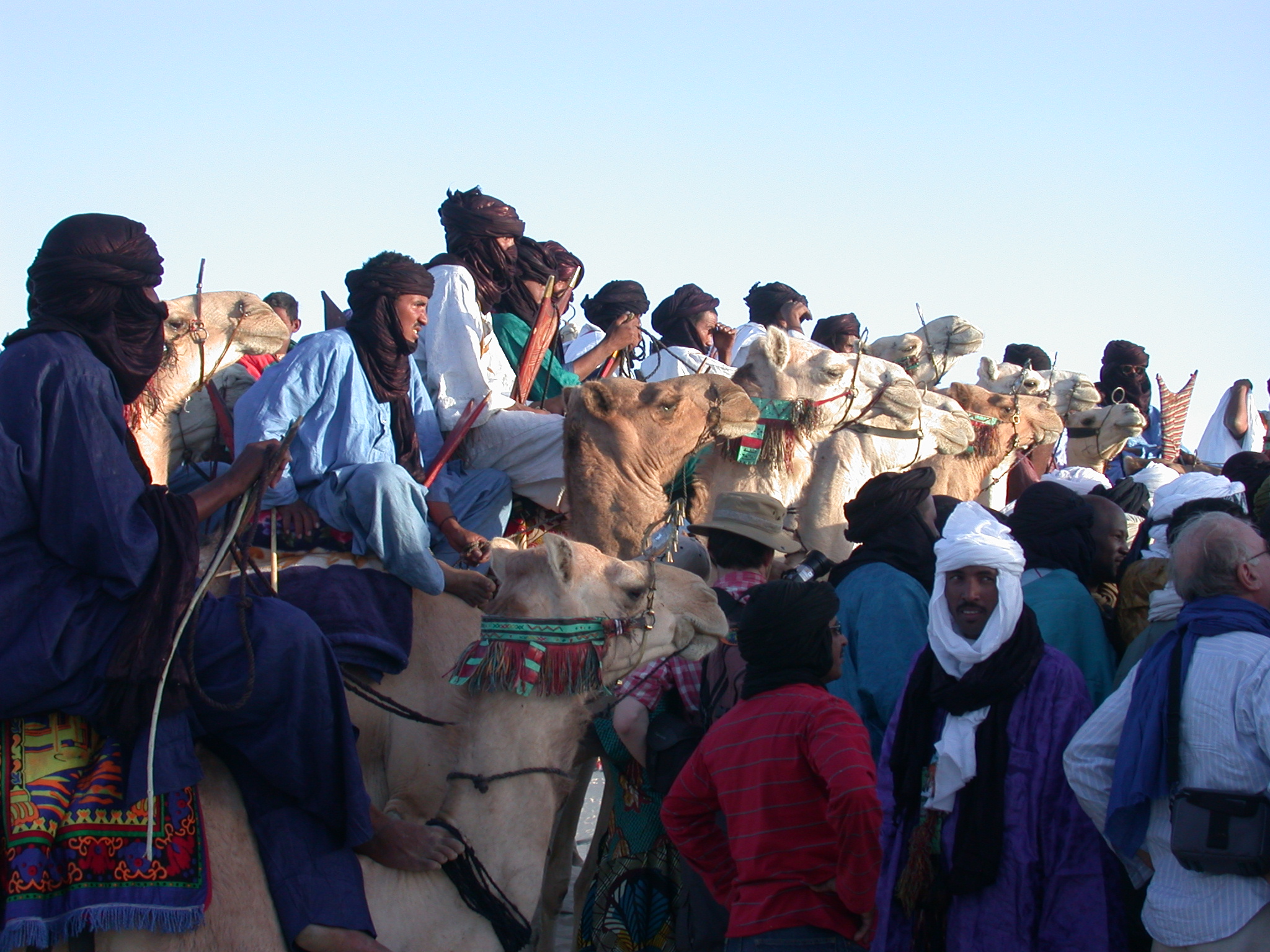 Preparing for Camel Race, Festival in the Desert, Essakane, Mali