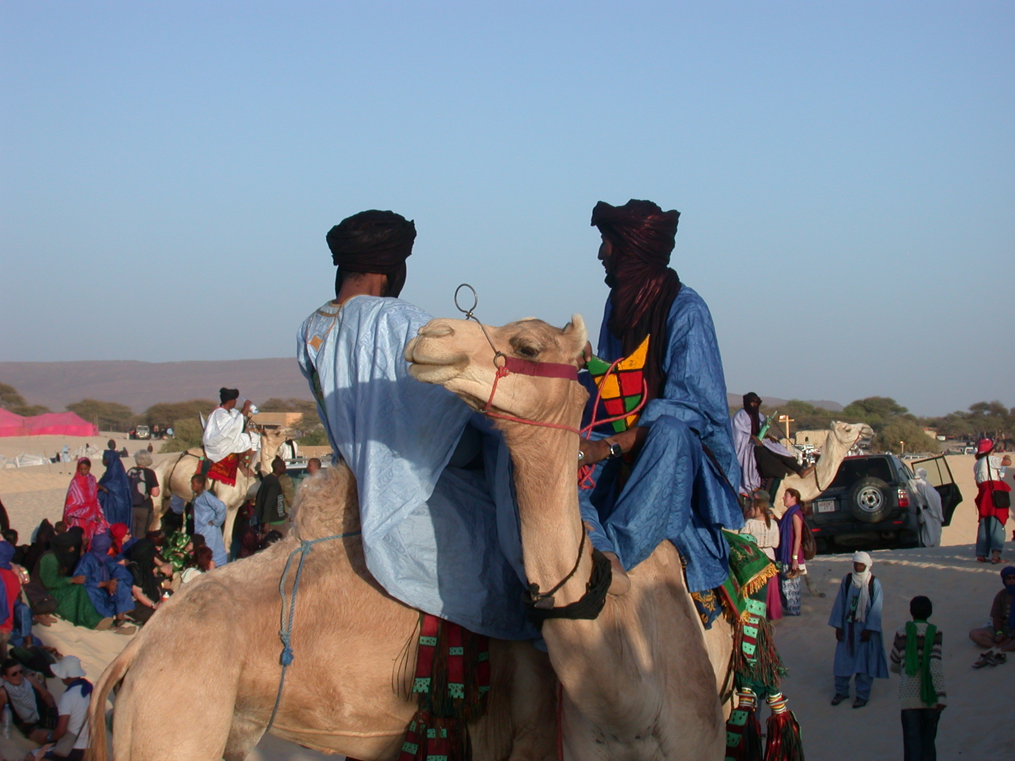 Preparing for Camel Race, Festival in the Desert, Essakane, Mali