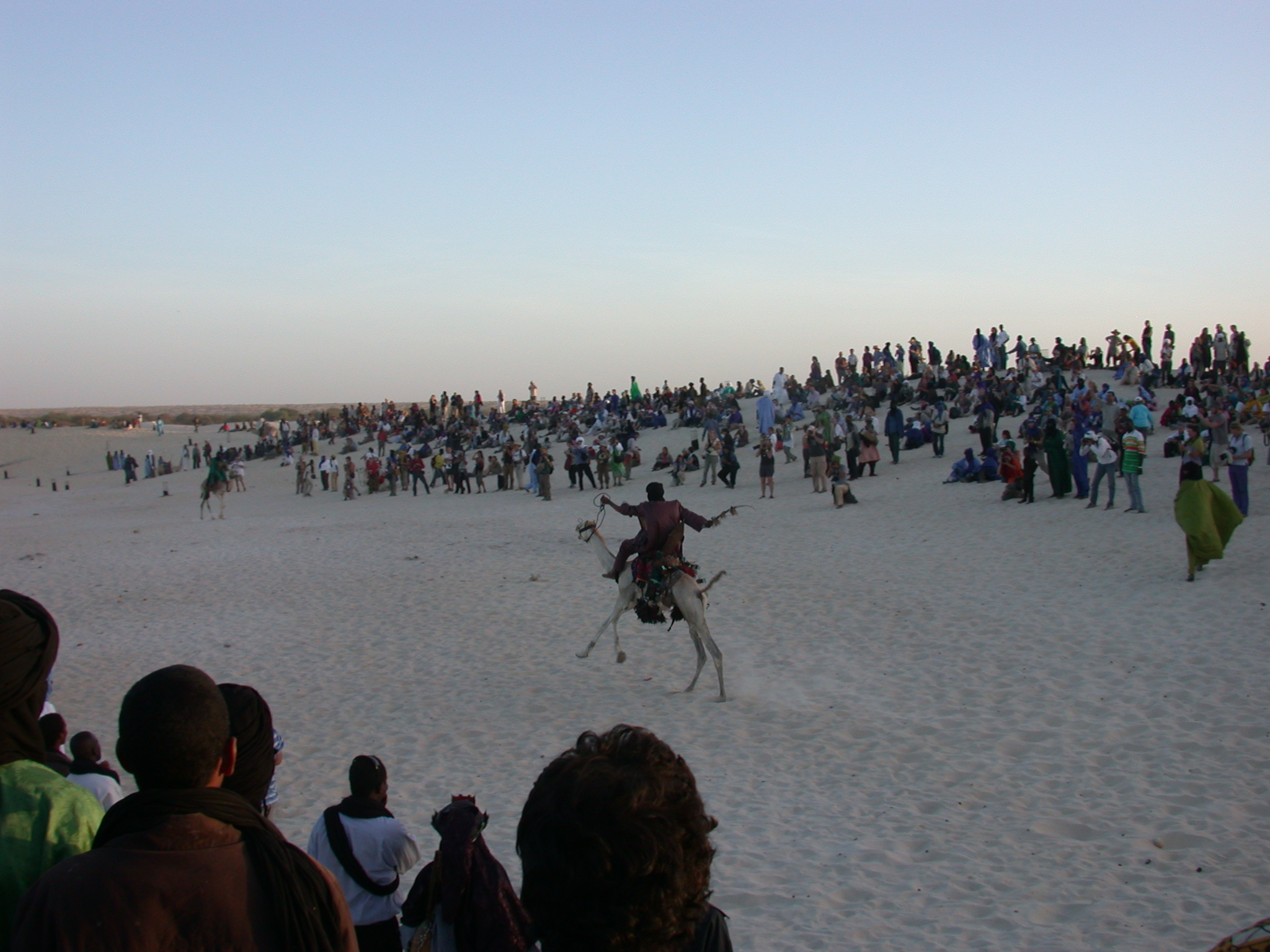 Camel Racing, Festival in the Desert, Essakane, Mali