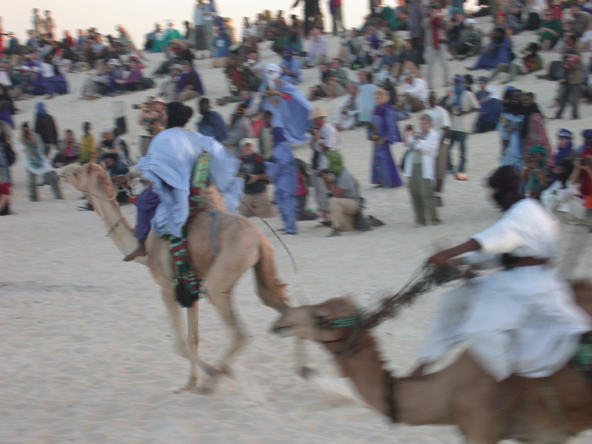 Camel Racing, Festival in the Desert, Essakane, Mali
