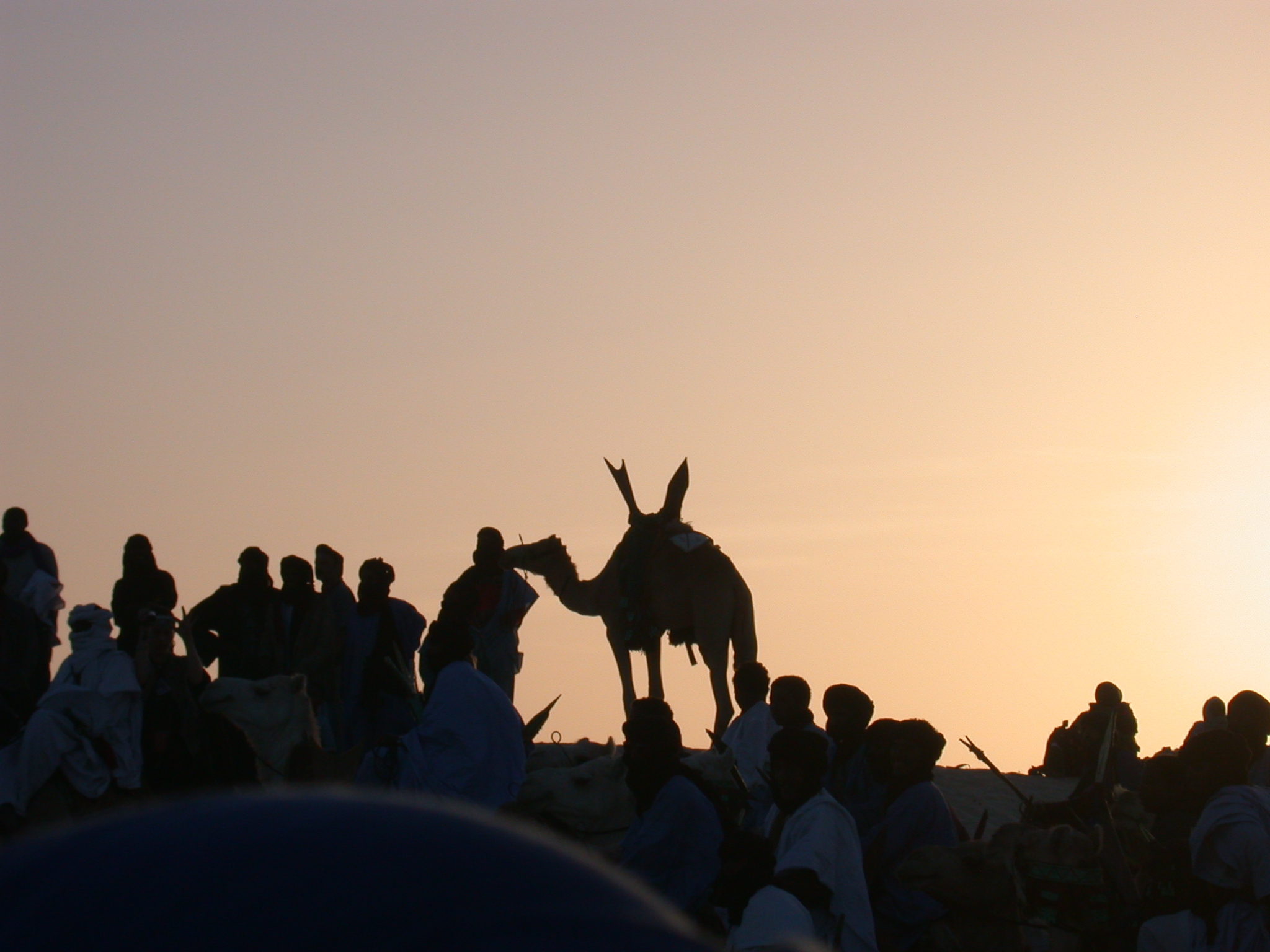 Camel in Silhouette on Dune at Sunset, Festival in the Desert, Essakane, Mali