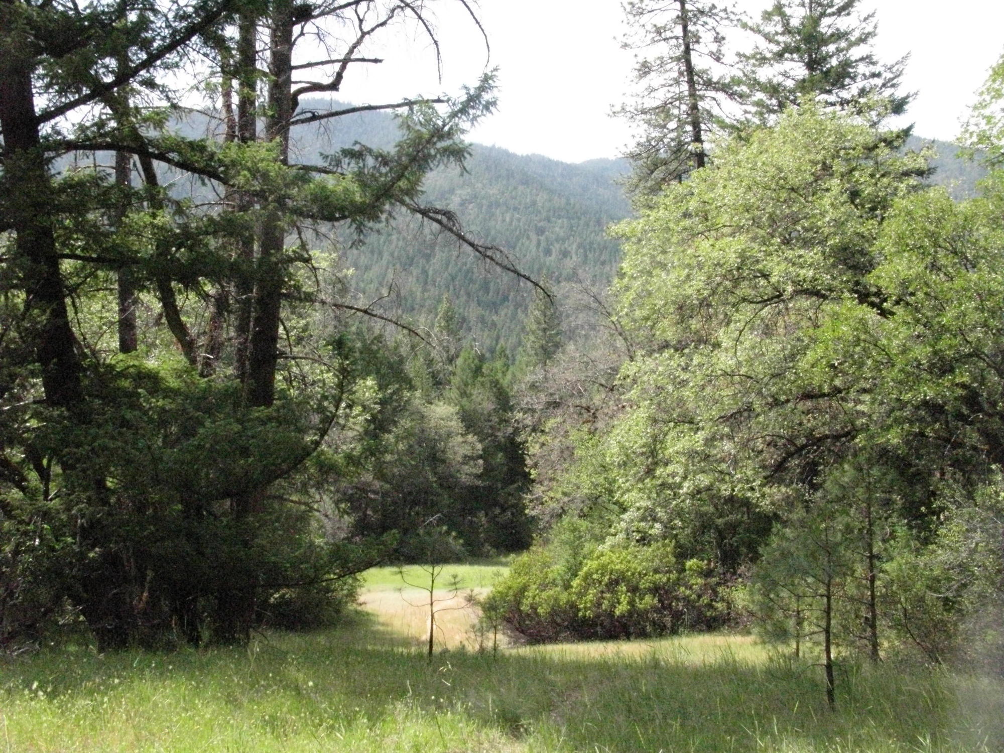 Trail to the Eel River, Covelo Yoga and Healing Festival