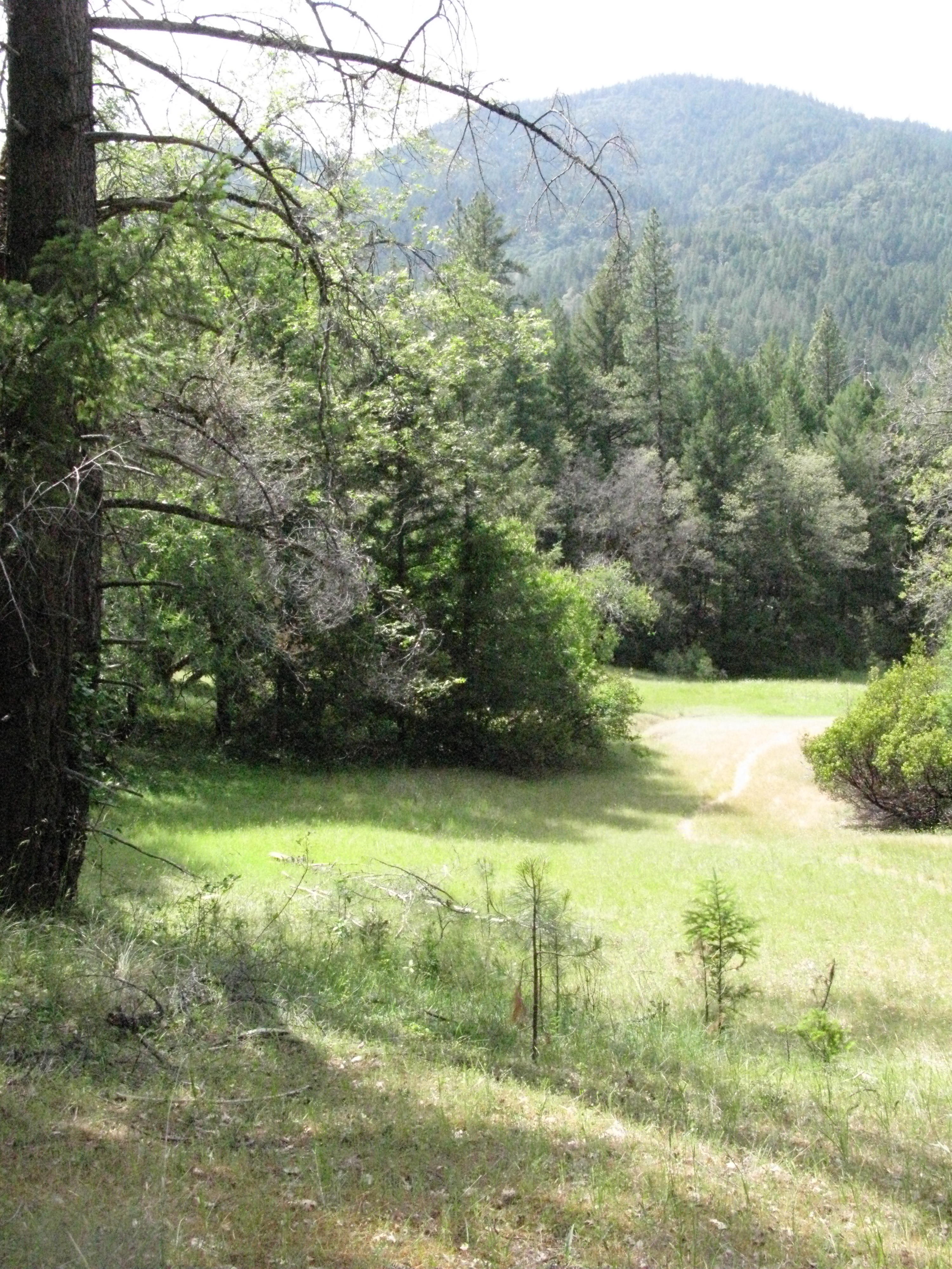 Trail to the Eel River, Covelo Yoga and Healing Festival