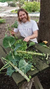 Stardust Harvesting Brussel Sprouts